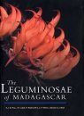 The Leguminosae of Madagascar