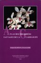 Atlas des Orchidées Sauvages de la Guadeloupe [Atlas of Wild Orchids of Guadeloupe]