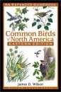 Common Birds of North America: Eastern Edition