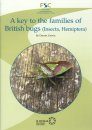 A Key to the Families of British Bugs (Insecta, Hemiptera)