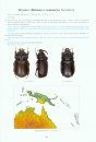 The Beetles of the World, Volume 27: Dynastidae, the Genus Oryctes [English / French]