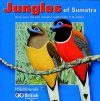 Jungles of Sumatra