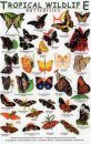Tropical Wildlife Field Guide: Butterflies [English / Spanish]