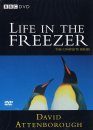 Life in the Freezer - DVD (Region 2 & 4)