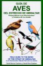 Field Guide to the Birds of the Strait of Gibraltar / Guia de Aves del Estrecho de Gibraltas