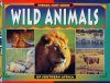 Wild Animals of Southern Africa