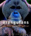 Orangutans and their Battle for Survival