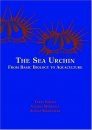 The Sea Urchin