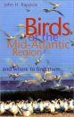 Birds of the Mid-Atlantic Region and Where to Find Them