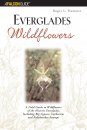 Everglades Wildflowers