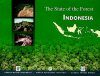 The State of the Forest: Indonesia