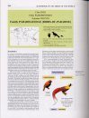 Handbook of the Birds of the World, Volume 14: Bush-Shrikes to Old World Sparrows