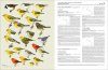 Handbook of the Birds of the World, Volume 15: Weavers to New World Warblers