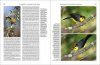 Handbook of the Birds of the World, Volume 15: Weavers to New World Warblers
