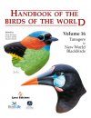 Handbook of the Birds of the World, Volume 16: Tanagers to New World Blackbirds