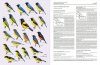 Handbook of the Birds of the World, Volume 16: Tanagers to New World Blackbirds