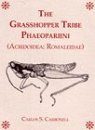 The Grasshopper Tribe Phaeoparini (Acridoidea: Romaleidae)