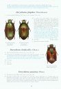 The Beetles of the World, Volume 29: Rutelini 3 [English / French]