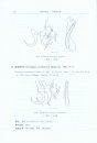 Fauna Sinica: Invertebrata, Volume 22: Platyhelminthes: Monogenea [Chinese]