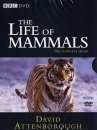The Life of Mammals - DVD (Region 2)