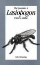 The Systematics of Lasiopogon