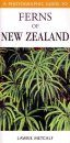 A Photographic Guide to the Ferns of New Zealand