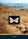 New Zealand Tussock Grassland Moths: a Taxonomic and Ecological Handbook Based on Light-Trapping Studies in Canterbury