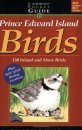 Prince Edward Island Birds