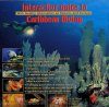 Interactive Guide to Caribbean Diving