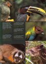 Rapid Biological Inventories, Volume 6: Bolivia: Pando, Federico Román [English / Spanish]