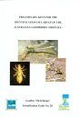 Preliminary Keys for the Identification of the Australian Gomphides (Odonata)