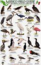 Mexico Field Guides: Baja California - Sea of Cortez - Pacific Coast: Sea and Shore Birds [English / Spanish]