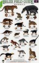 Belize Field Guides: Mammals/Tracks [English / Spanish]