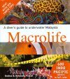 A Diver's Guide to Underwater Malaysia Macrolife