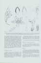 The Cape Genus Lachnaea (Thymelaeaceae)