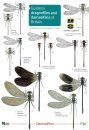 Guide to the Dragonflies and Damselflies of Britain