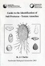 Guide to the Identification of Soil Protozoa: Testate Amoebae