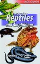 Australian Reptiles and Amphibians