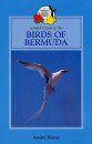 Field Guide to the Birds of Bermuda