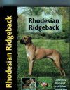 Rhodesian Ridgeback