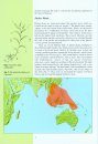 A Guide to the Pitcher Plants of Peninsular Malaysia
