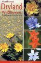 Northwest Dryland Wildflowers