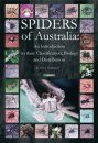 Spiders of Australia: An Introduction to their Classification, Biology and Distribution