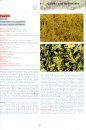 Atlas of Non-Silicate Minerals in Thin Section