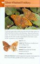 Collins Gem Guide: Butterflies