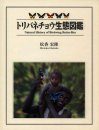 Natural History of Birdwing Butterflies [English / Japanese]