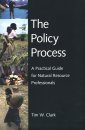 The Policy Process