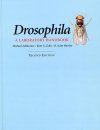 Drosophila, Volume 1: A Laboratory Handbook