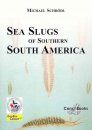Sea Slugs of Southern South America