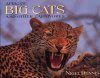 Africas Big Cats and Other Carnivores